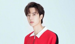 娱乐爆料张淼怡是谁,张淼怡，她是谁？揭秘这位神秘新星背后的故事